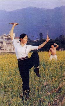 װʦɹŮ