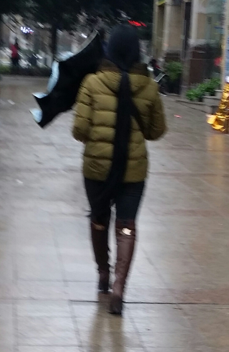 Сˣ